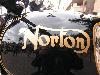 Norton Trivia